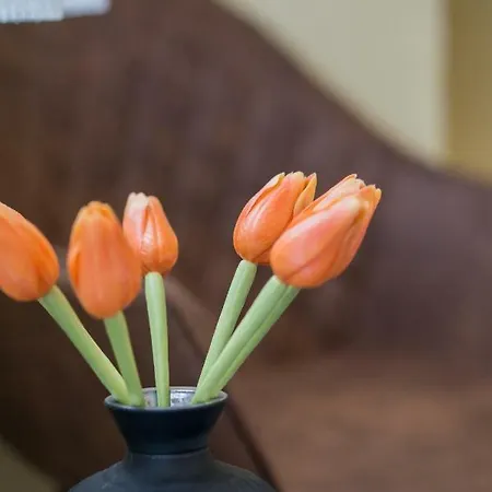 Гостевой дом зоя 3*